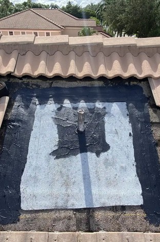 gallery 6